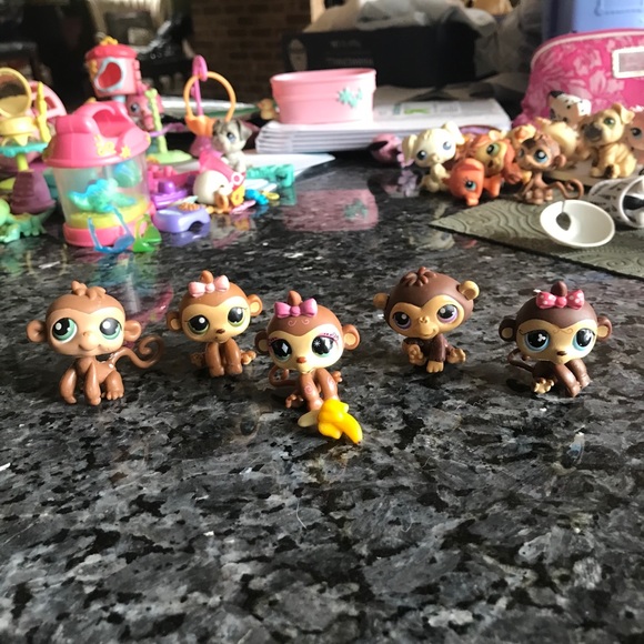 Littlest Pet Shops! - Picture 5 of 16